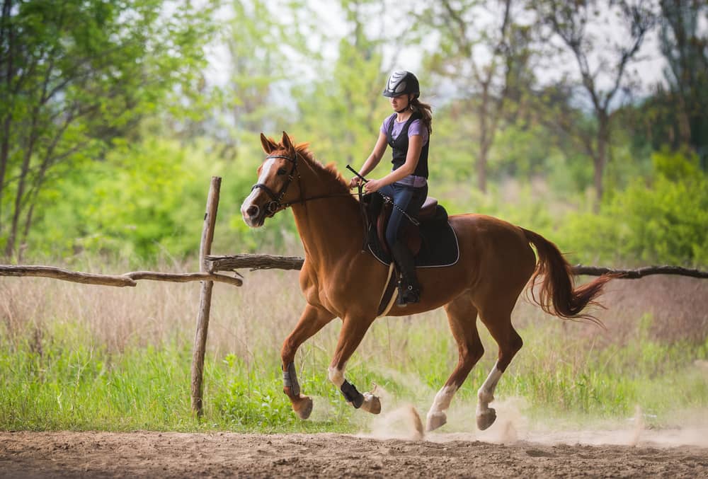 How to Ride a Horse