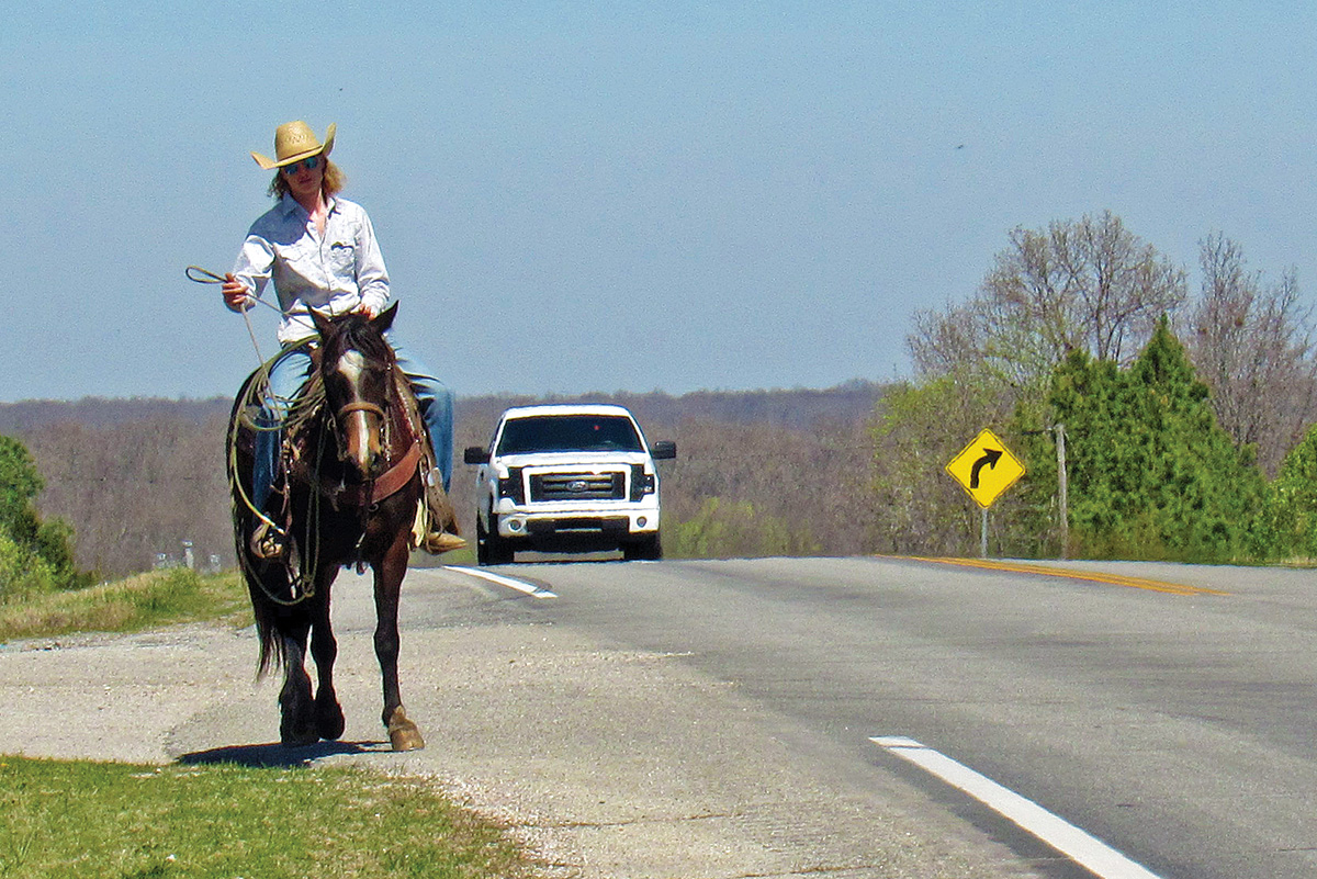 Can You Get a Dui on a Horse