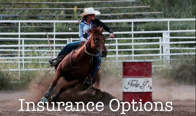 Can you get health insurance for a horse